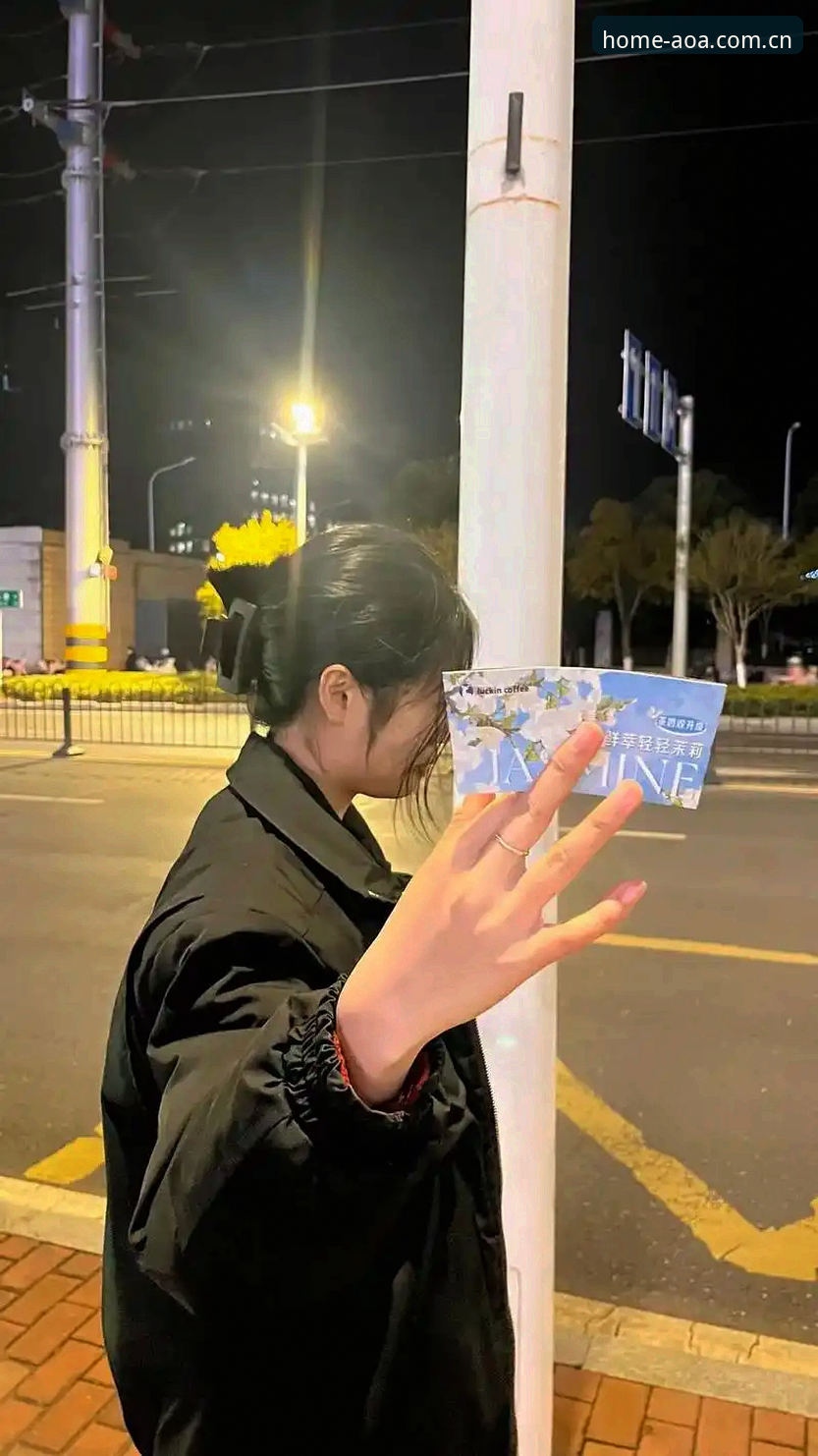苹果iOS端AOA官方中国站功能详解：一场从指尖到屏幕的实时革命——深度评测